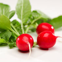 خواص ترب، از درمان روماتیسم تا سنگ مثانه